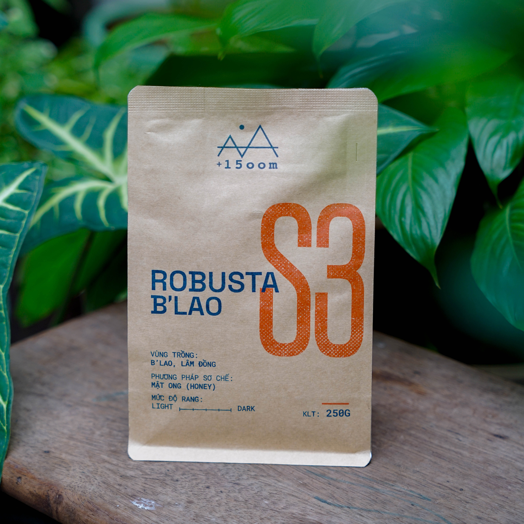 1500m-coffee-ca-phe-S3-Robusta-Blao_2